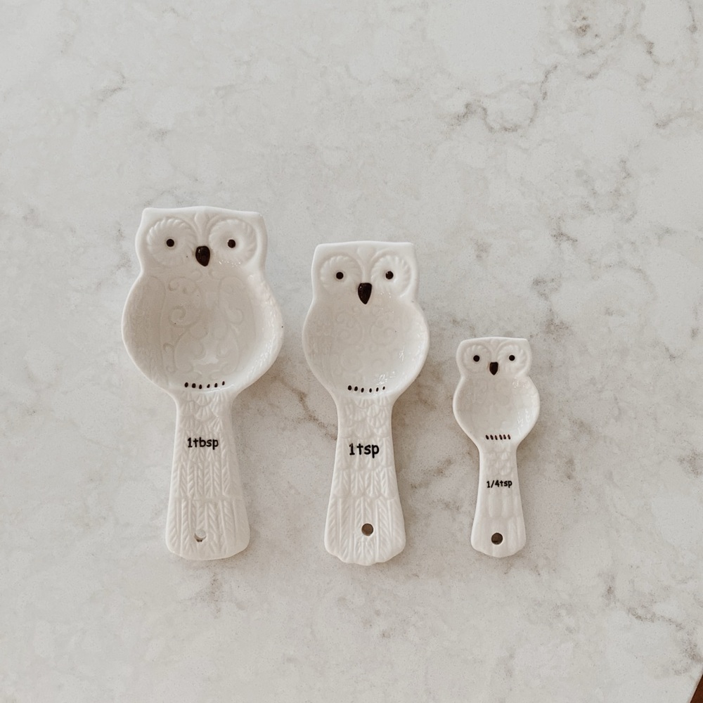 Pier 1 Snow Owl Measuring Spoons - Picture 2 of 3